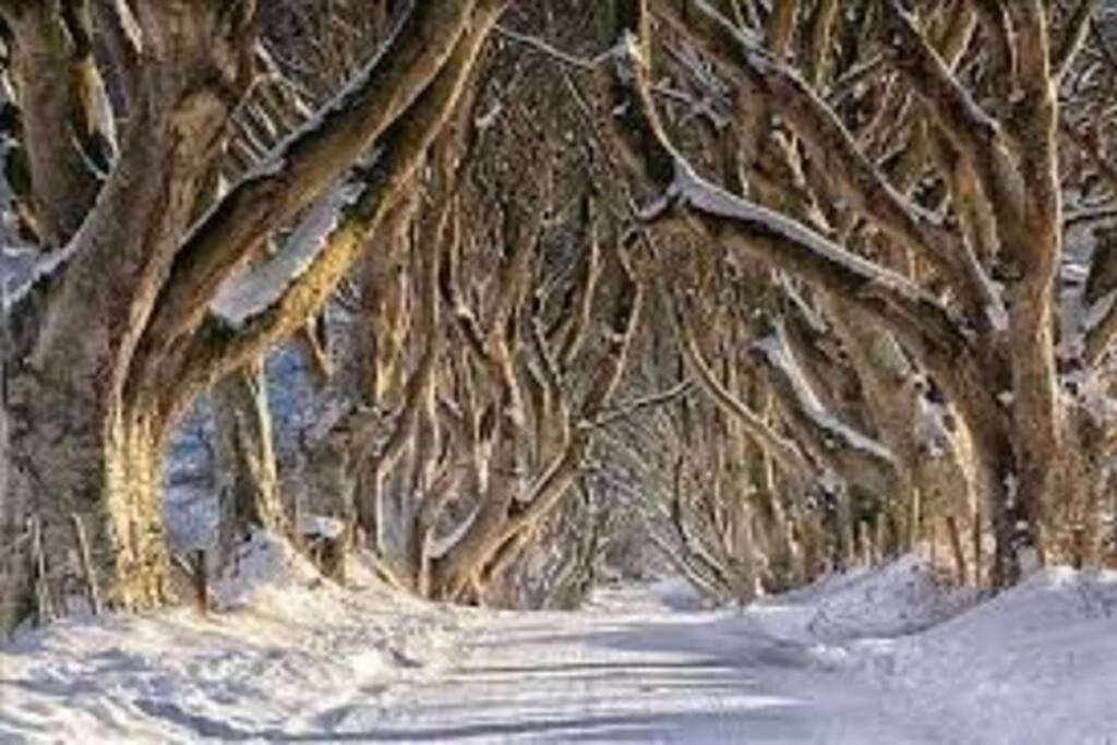 Barn Lane @ Drumagosker Rural Retreats Ardmore Esterno foto