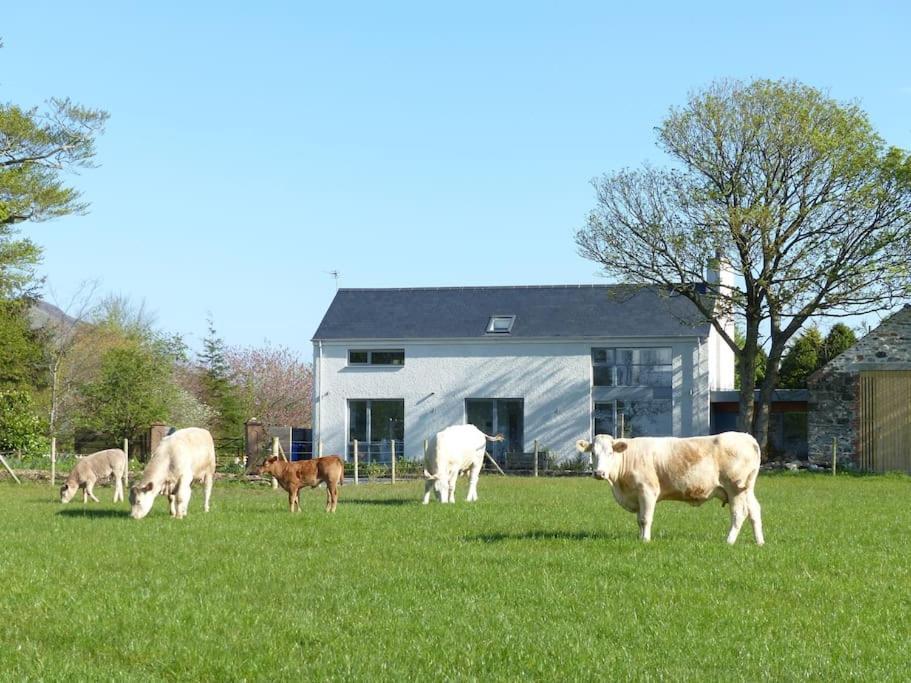 Barn Lane @ Drumagosker Rural Retreats Ardmore Esterno foto